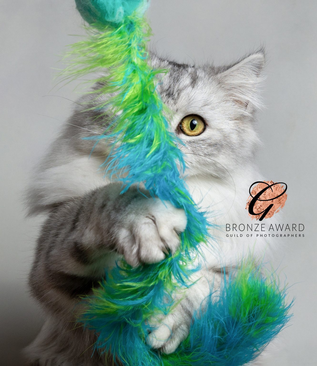 logobronze high 2 copy 2