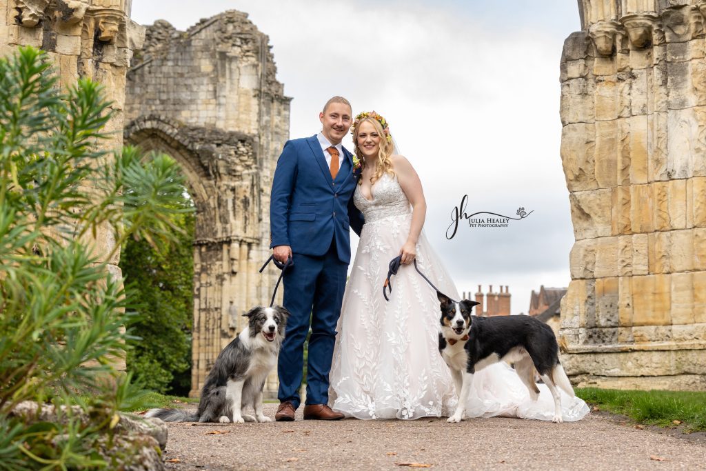 Dog at Yorkshire wedding ceremony with bride and groom