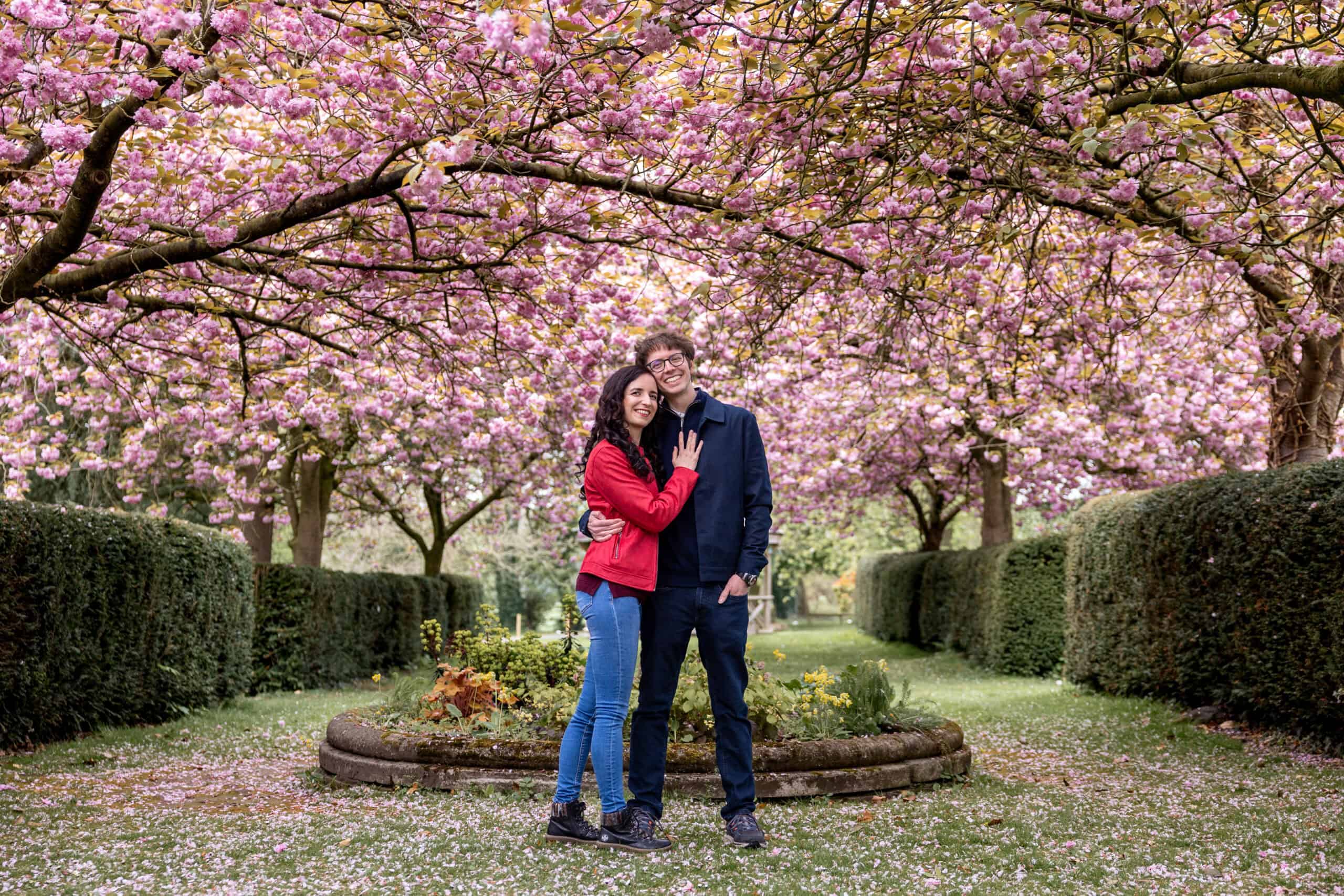 Couple under cherry blossoms in garden