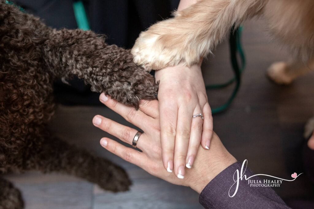 Hands and dog paws stacked together